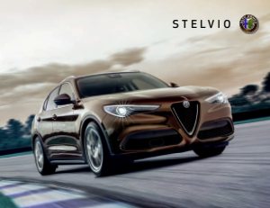 2019 – Stelvio (CA)