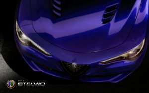 2022 – Stelvio (US)
