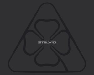 2017 – Stelvio Quadrifoglio (DE)