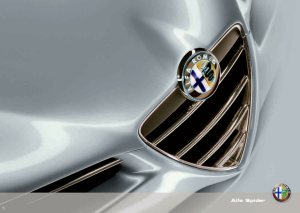 2008 – Spider (NL)