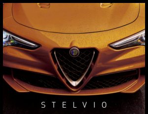 2019 – Stelvio (US)