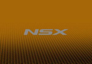 2019 – NSX (CN)
