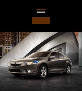 2013 – TSX (CA)