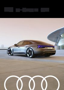 2024 – RS e-tron GT (MY)