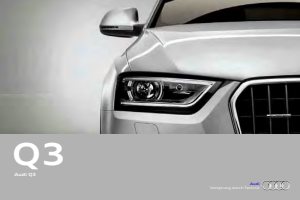 2013 – Q3 (INT)