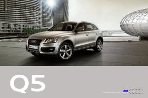2009 – Q5 (DE)