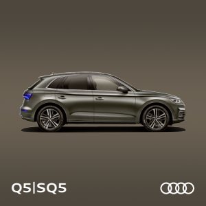 2018 – Q5 & SQ5 (UK)