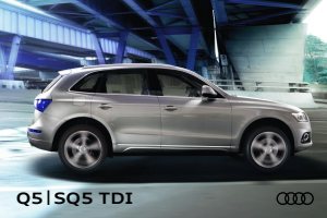 2016 – Q5 & SQ5 (DE)