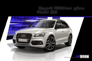 2015 – Q5 Sport Edition Plus (DE)