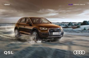 2019 – Q5 L (CN)