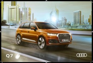 2019 – Q7 (MY)