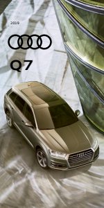 2019 – Q7 (US)