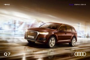 2019 – Q7 (CN)