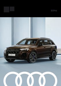 2025 – Q7 S Line (MY)