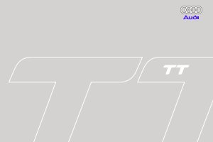2009 – TT (NL)