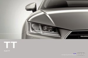 2014 – TT (DE)
