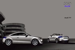 2008 – TT (DE)