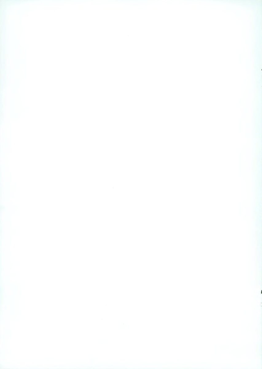 1983 – 80 TDi (NL) Preview Page 2