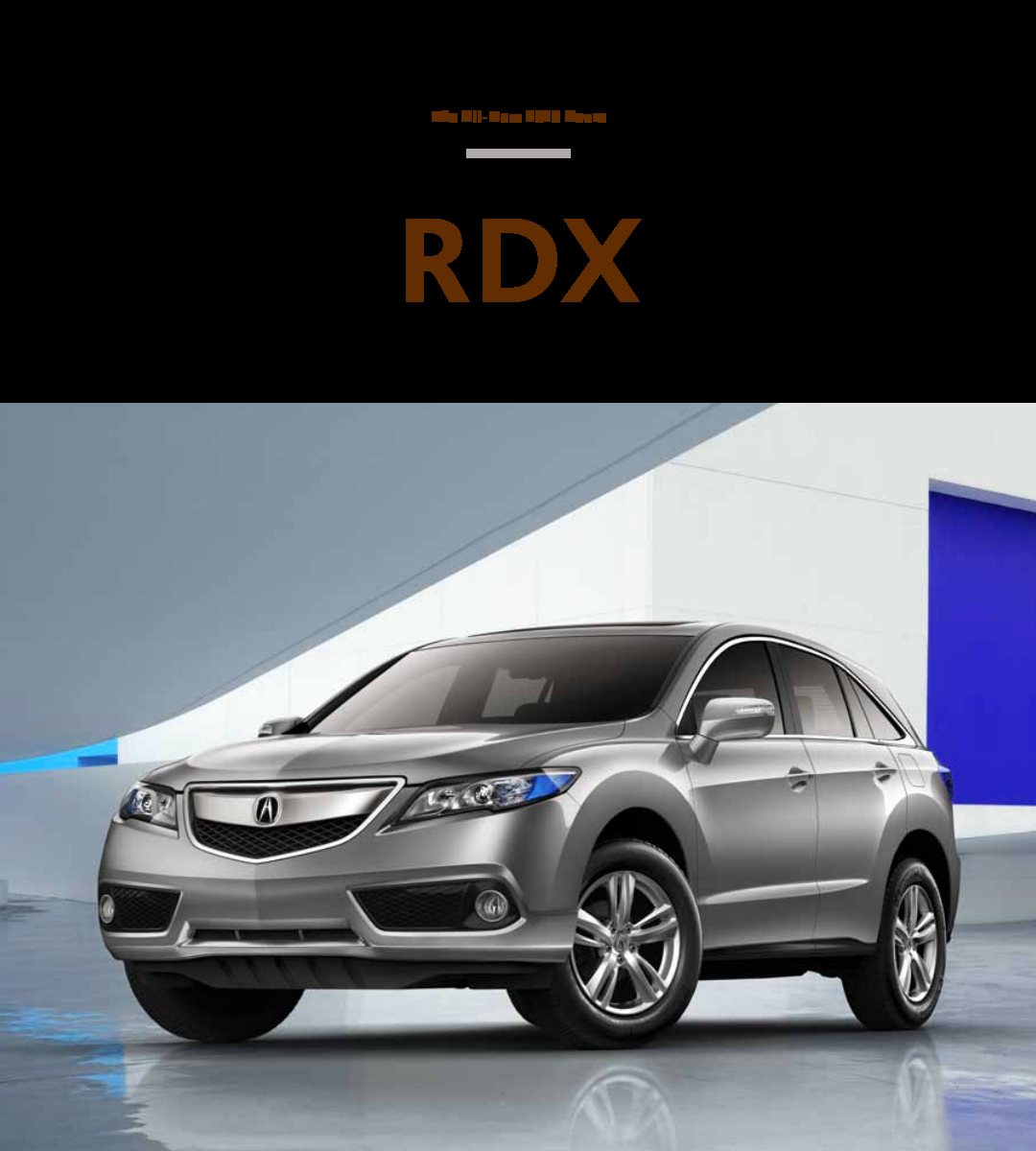 2013 – RDX (US) Preview Page 1