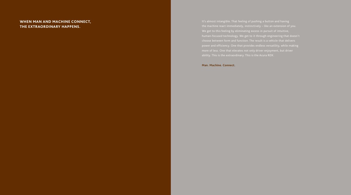 2013 – RDX (US) Preview Page 2