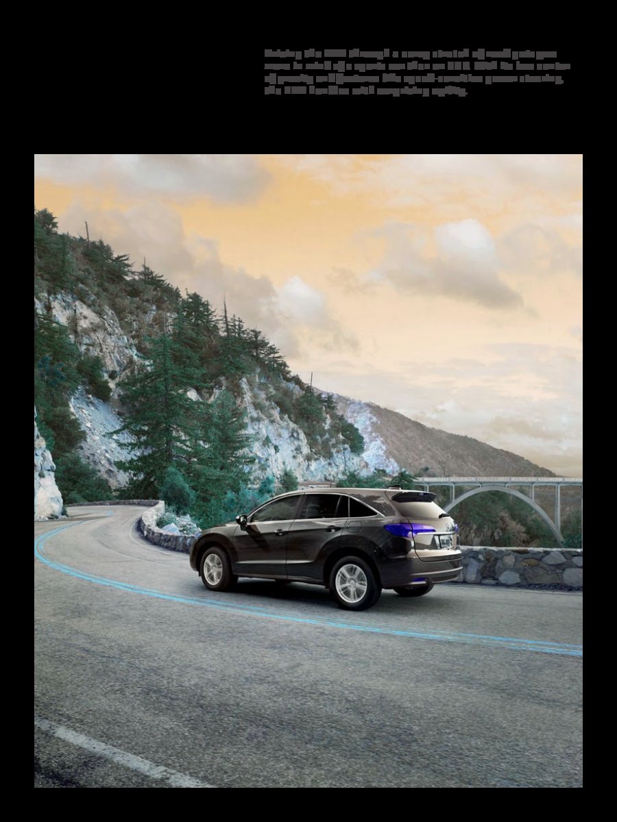 2014 – RDX (US) Preview Page 4