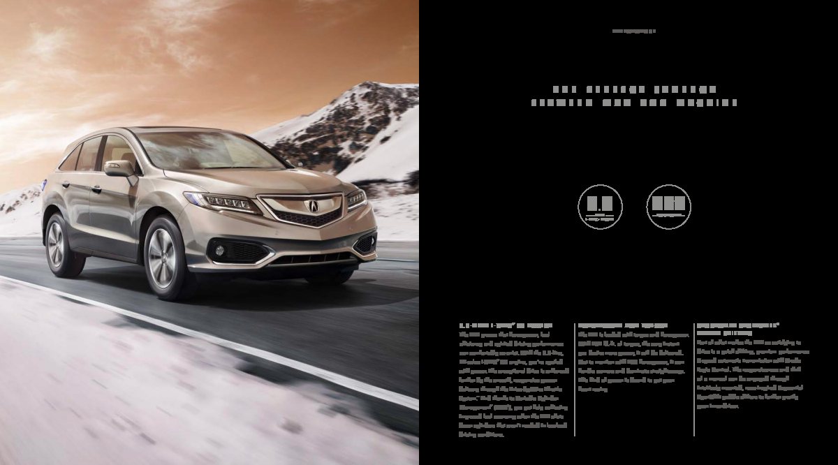 2017 – RDX (CA) Preview Page 3
