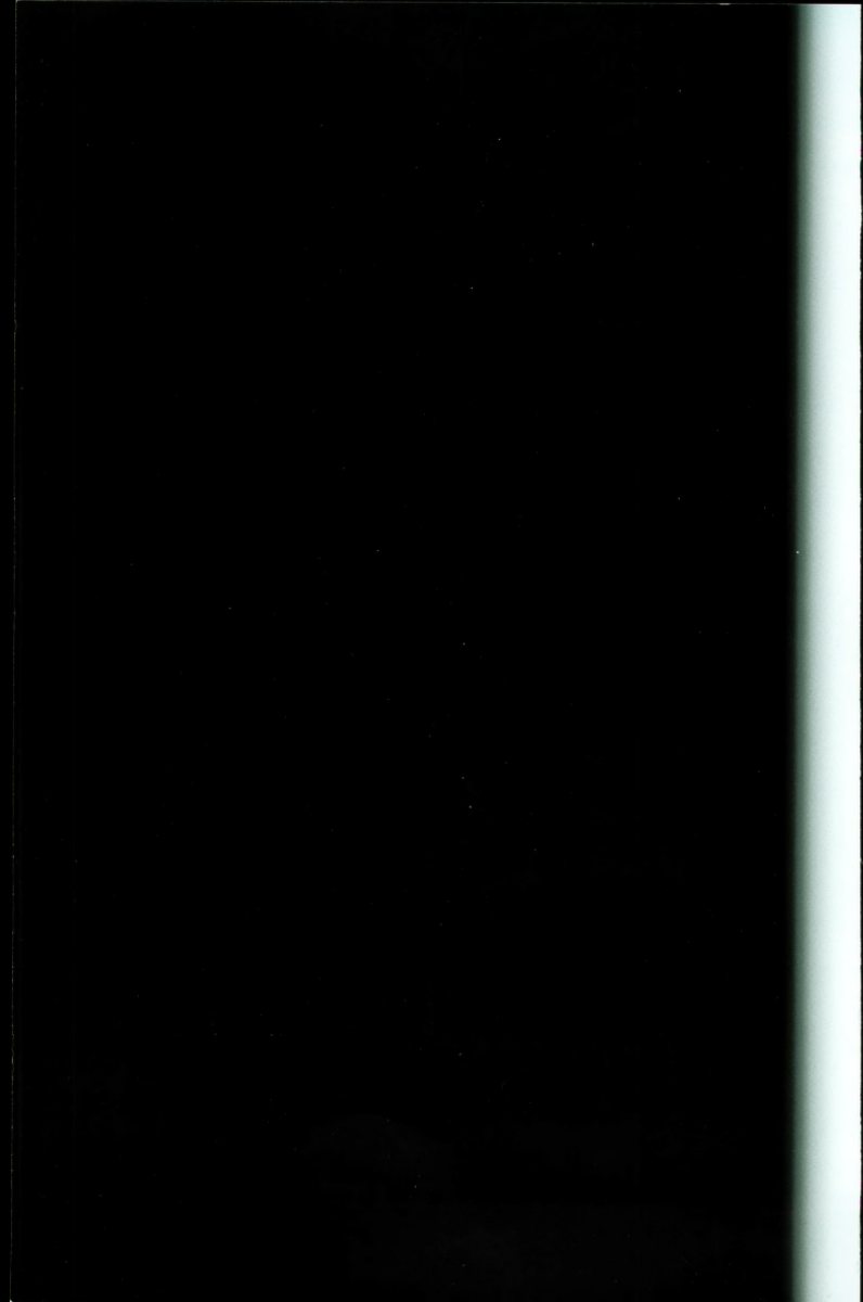 1996 – A3 (NL) Preview Page 4