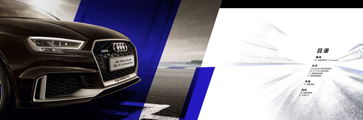 2019 – RS3 Sedan (CN) Preview Page 2