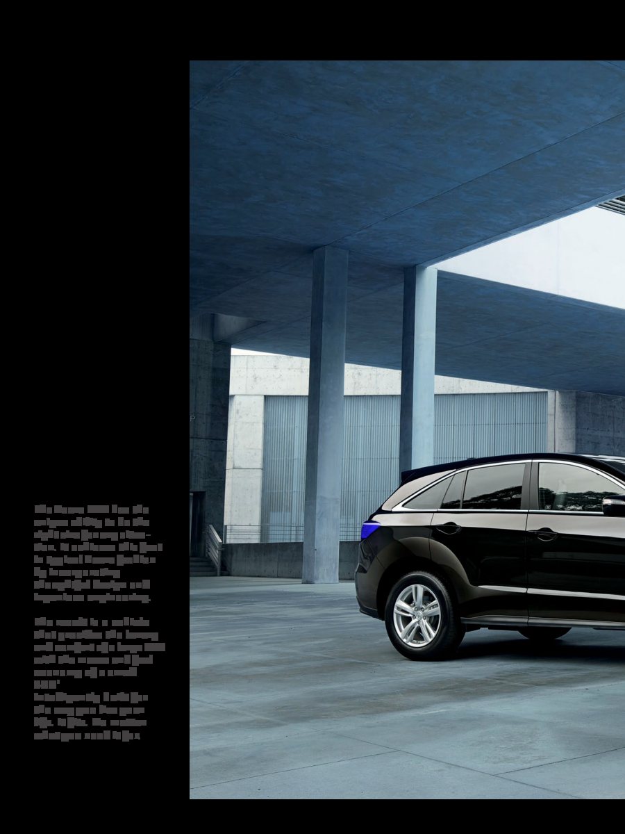 2015 – RDX (US) Preview Page 2