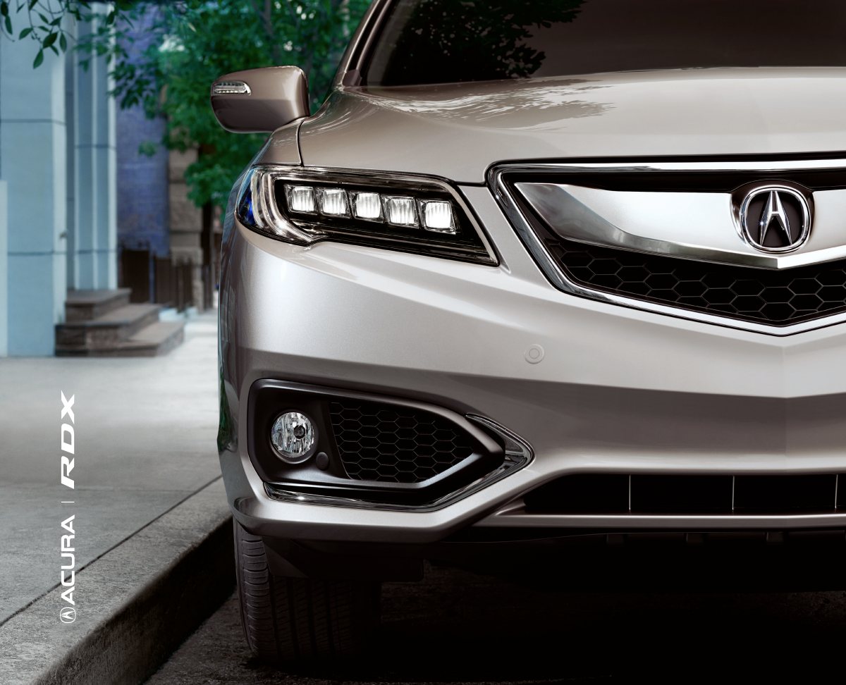 2017 – RDX (US) Preview Page 1