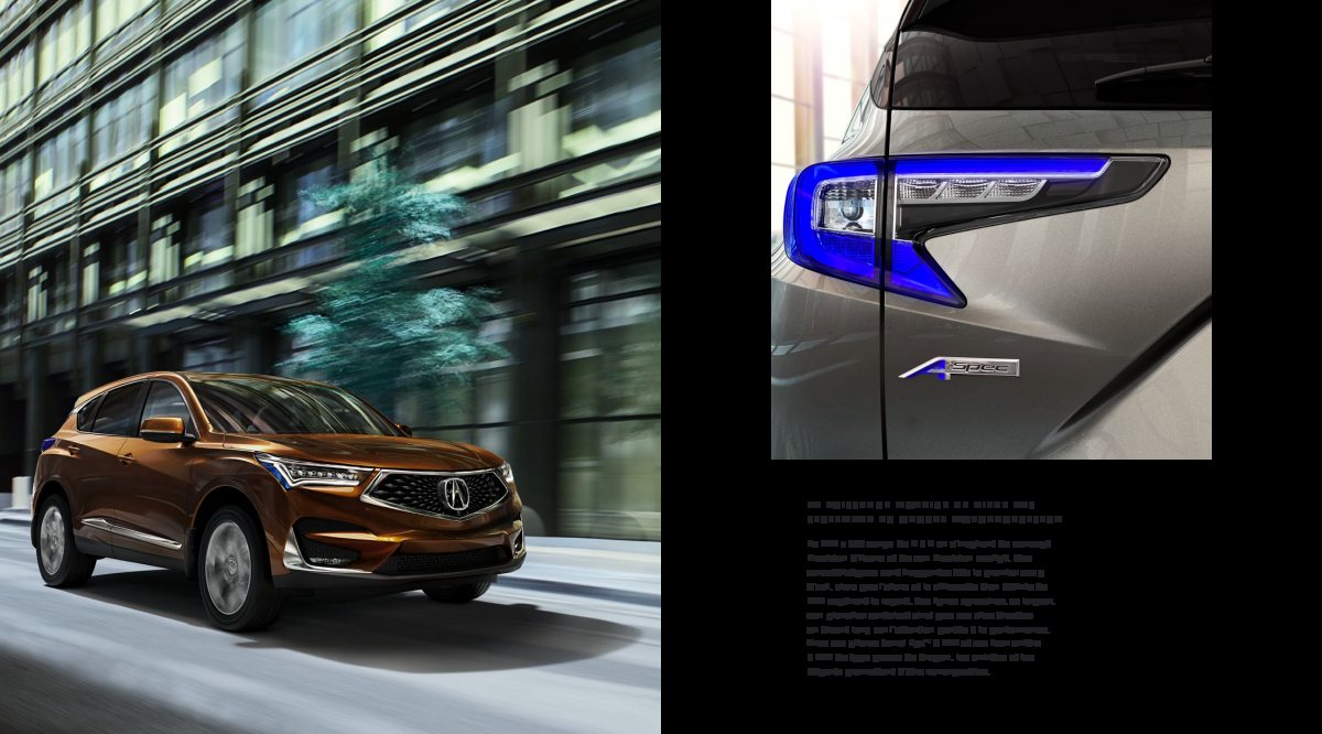 2019 – RDX (CA) Preview Page 4