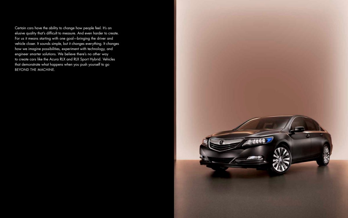 2017 – RLX (US) Preview Page 2