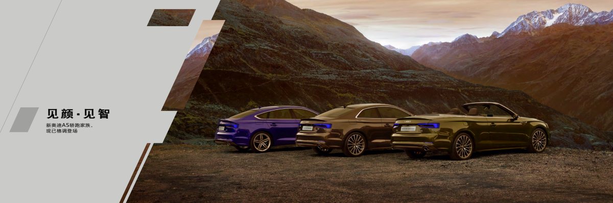 2019 – A5 Model Range (CN) Preview Page 2