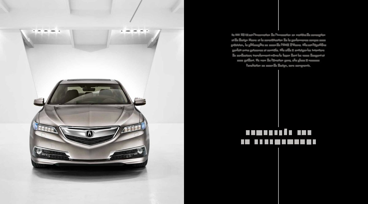 2017 – TLX (CA) Preview Page 2
