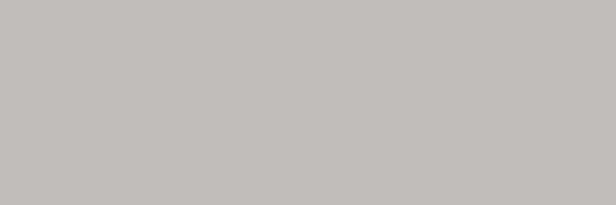 2008 – RS6 Sedan & Avant (DE) Preview Page 2