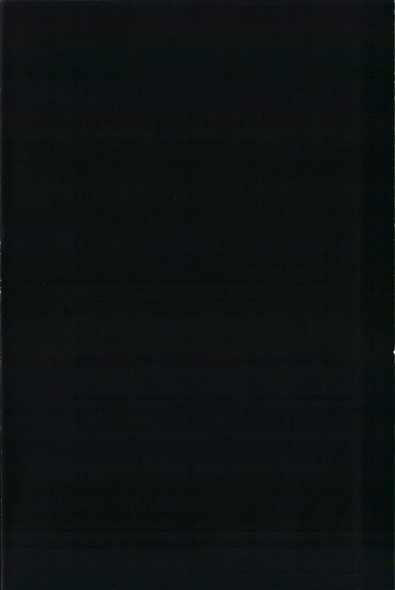 1998 – A8 (DE) Preview Page 2