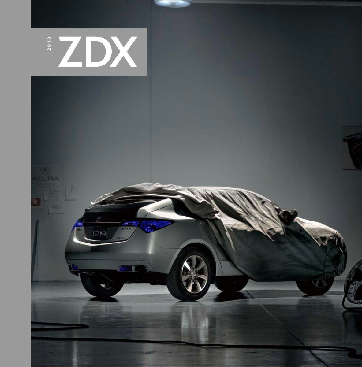 2010 – ZDX (CA) Preview Page 1