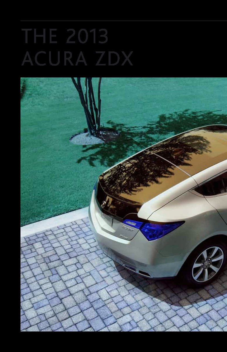 2013 – ZDX (US) Preview Page 1