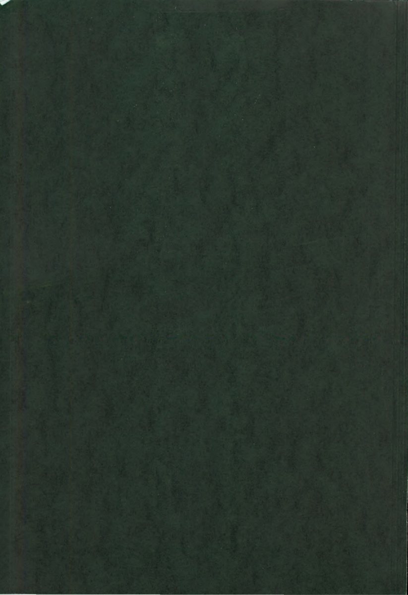 1998 – Cabrio (DE) Preview Page 2