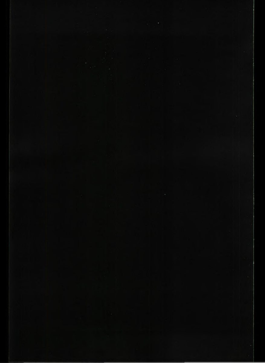 1998 – Cabrio (DE) Preview Page 4