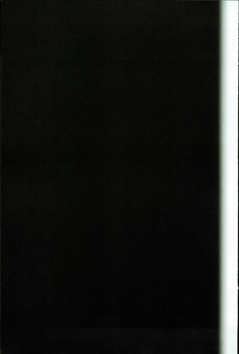 1996 – Model Range (NL) Preview Page 2