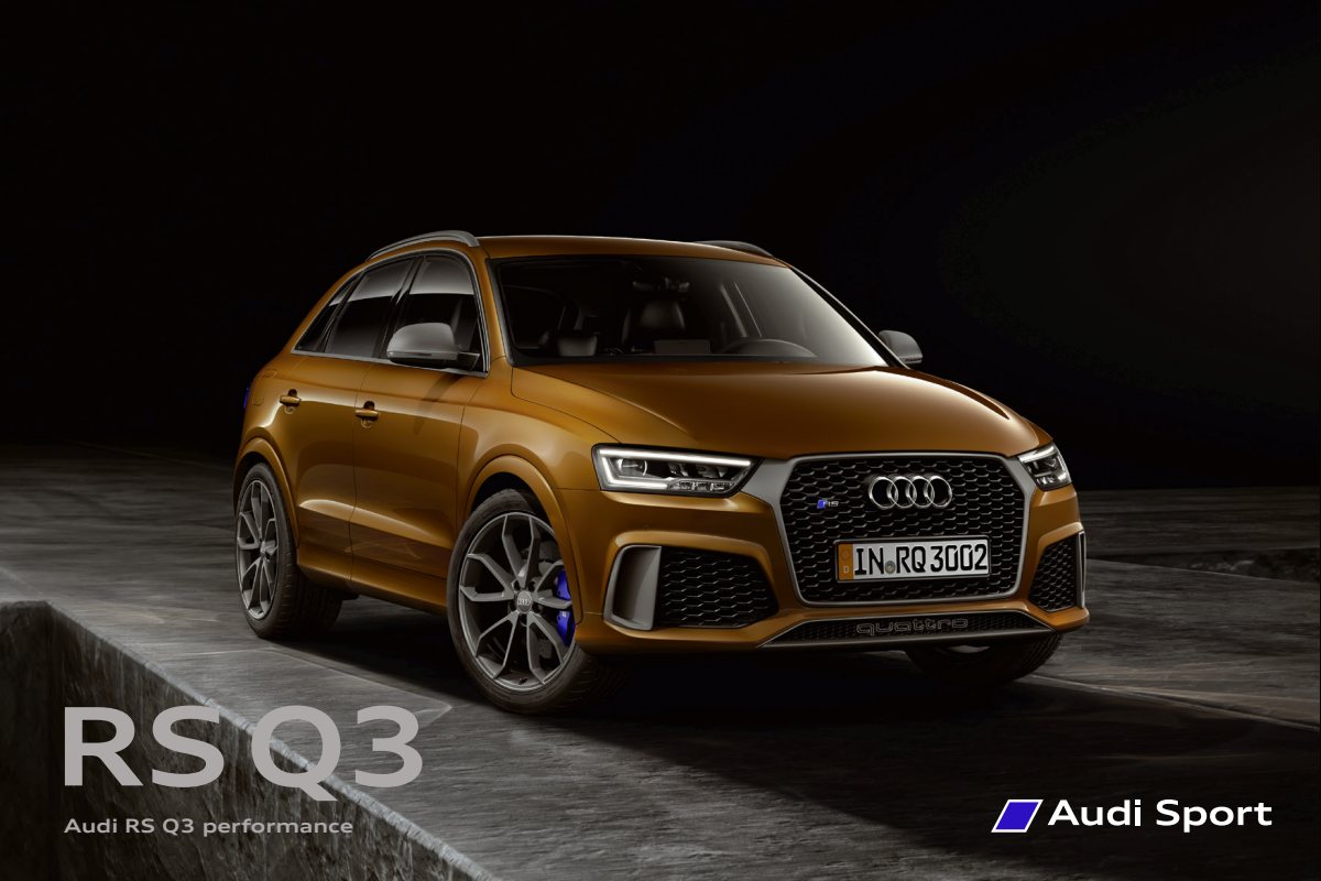 2016 – RS Q3 Performance (DE) Preview Page 1