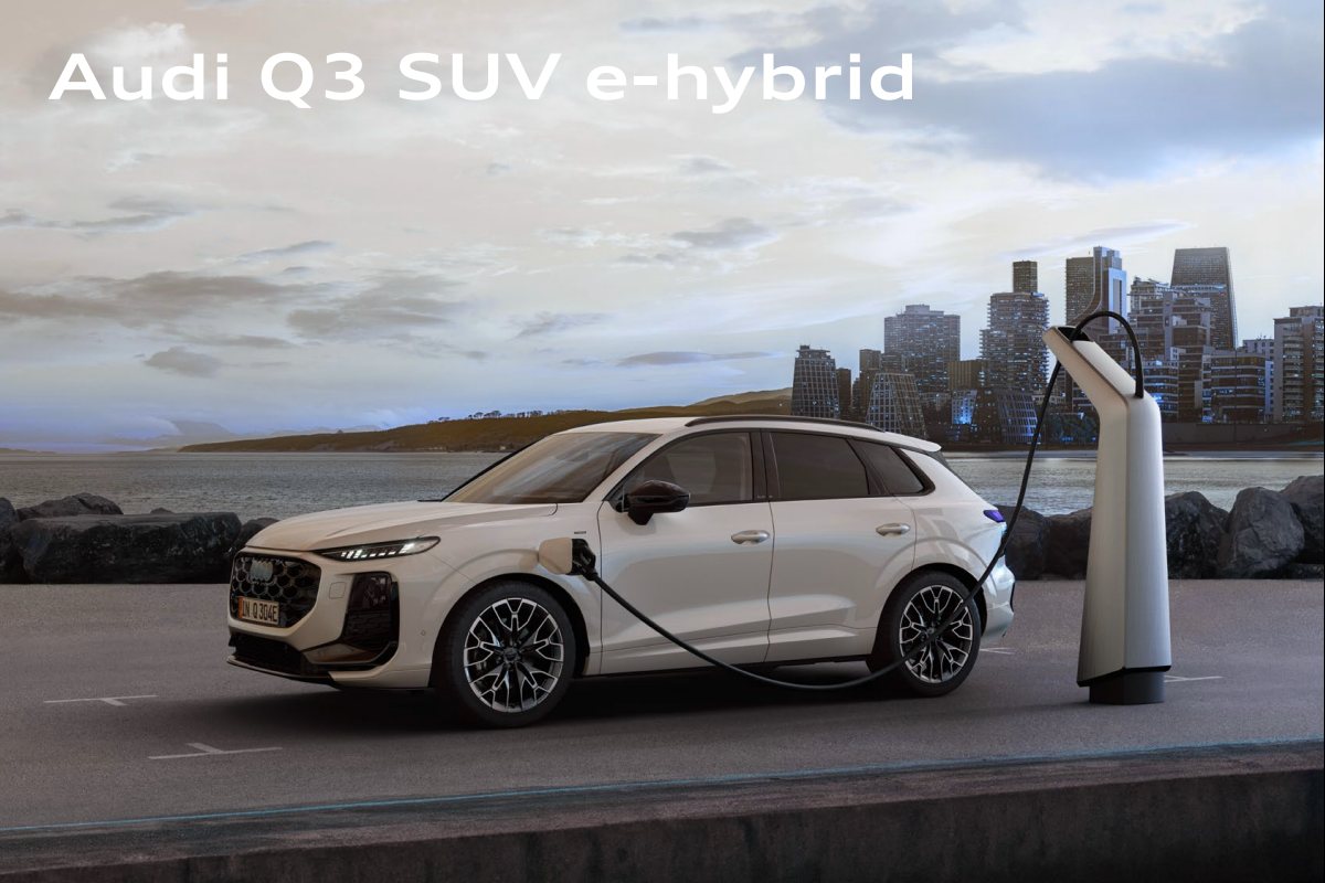 2025 – Q3 (DE) Preview Page 6