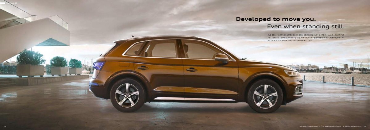 2019 – Q5 & SQ5 (JP) Preview Page 4