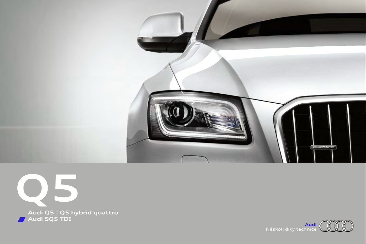2013 – Q5 (CZ) Preview Page 1