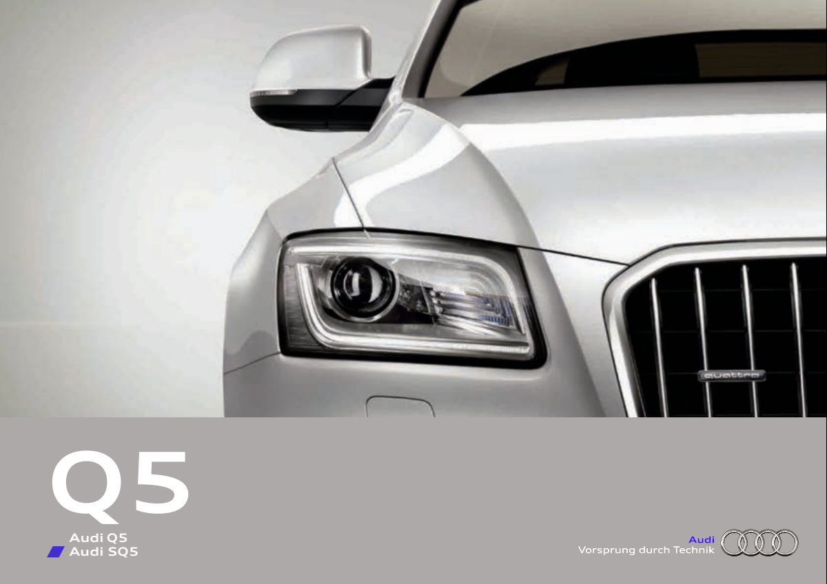 2015 – Q5 & SQ5 (JP) Preview Page 1