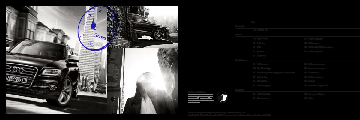 2012 – SQ5 (DE) Preview Page 2