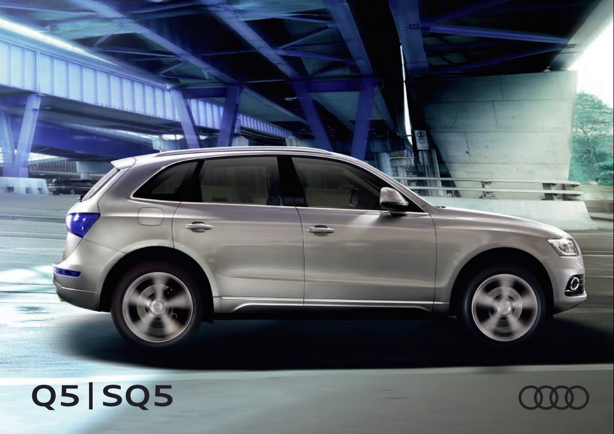 2017 – Q5 & SQ5 (JP) Preview Page 1