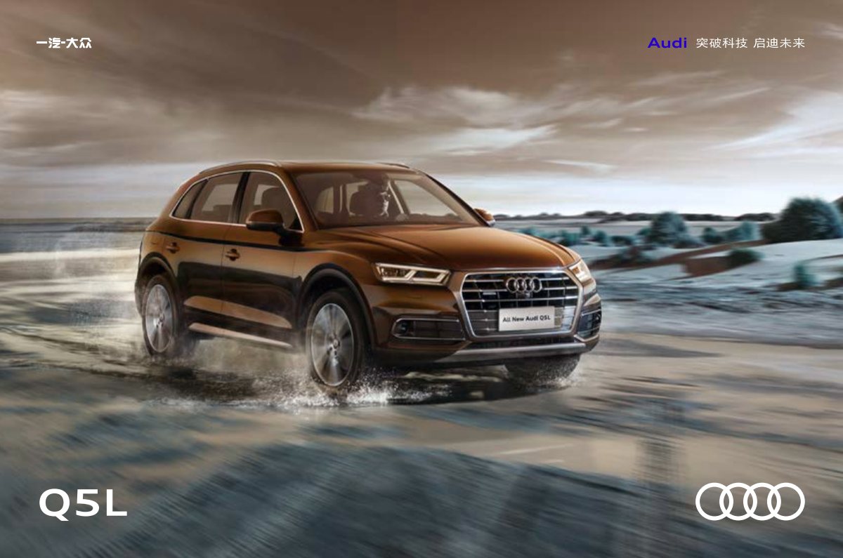 2019 – Q5 L (CN) Preview Page 1