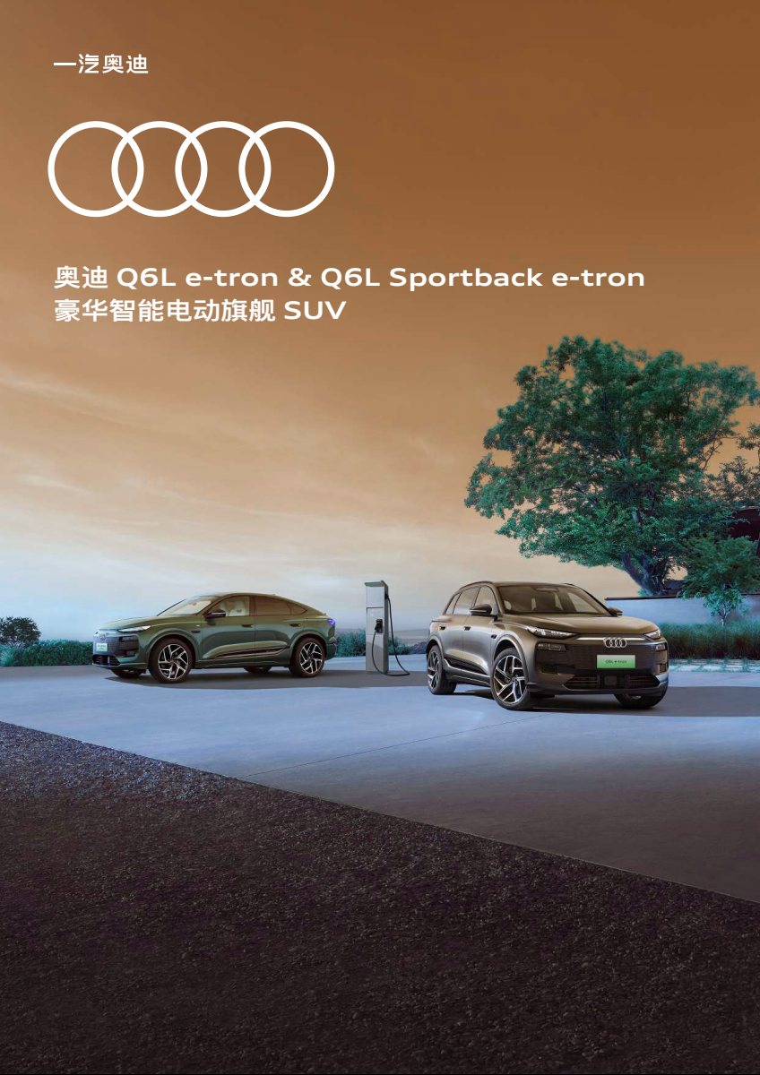 2025 – Q6 L e-tron & Sportback (CN) Preview Page 1